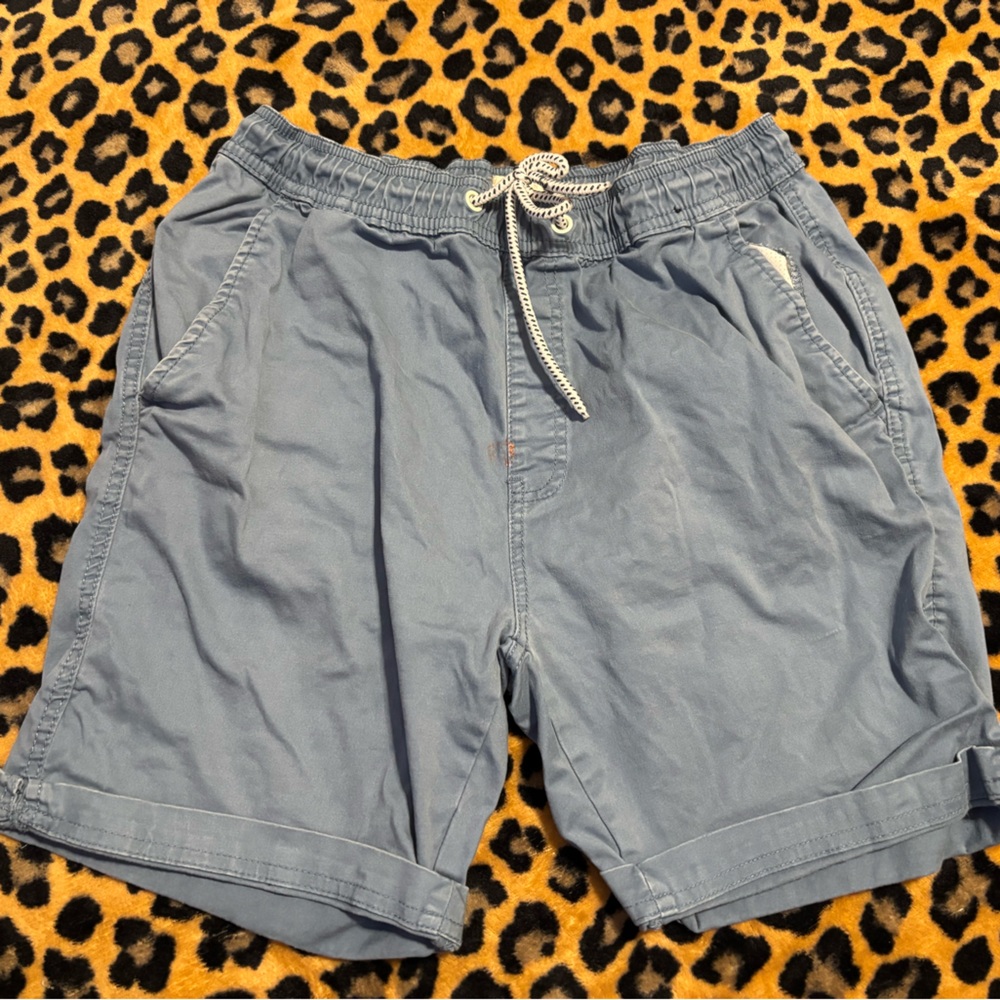 Essentials Blue Flat Front Shorts